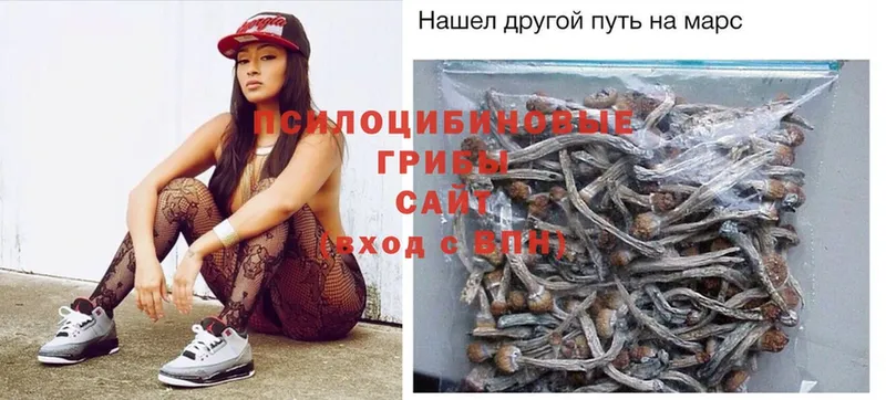 Галлюциногенные грибы Magic Shrooms  OMG онион  Галич 